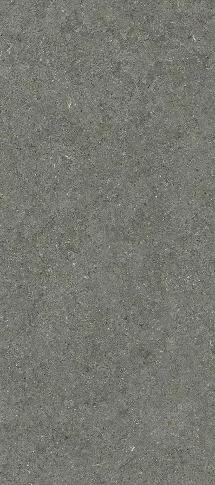 Керамогранит Италон Форум Стоун Айрон 60*120 см